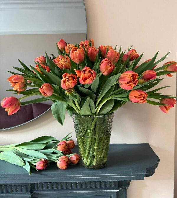 Tulips - Image 2