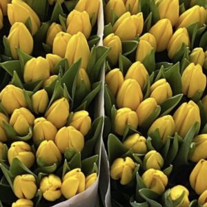 Easter Flower Bundle