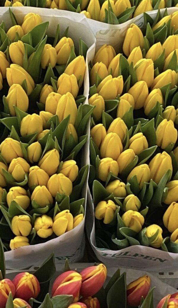 Easter Flower Bundle