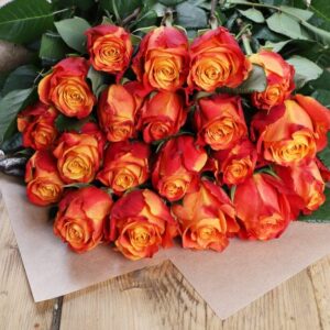 Luxury ‘Atomic’ Ecuadorean Roses