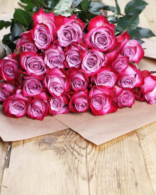 Luxury ‘Deep Purple’ Ecuadorean Roses