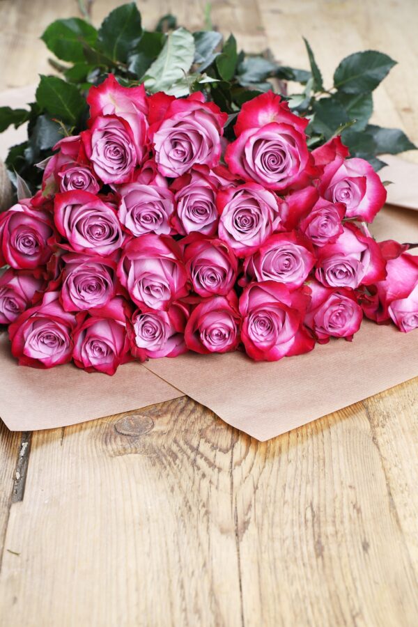 Luxury ‘Deep Purple’ Ecuadorean Roses