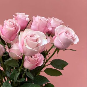 Luxury ‘Secret Garden’ Ecuadorean Roses