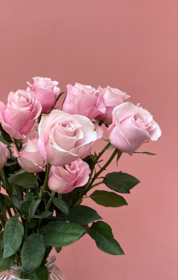 Luxury ‘Secret Garden’ Ecuadorean Roses