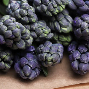 Hyacinths