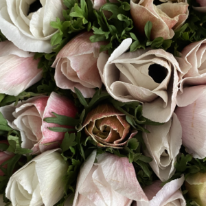 Italian Extra Large Anemones