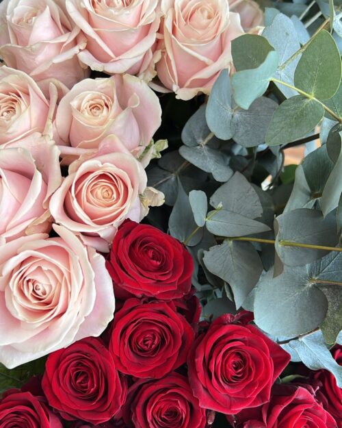 Mixed Luxury Blush and Classic Red Roses