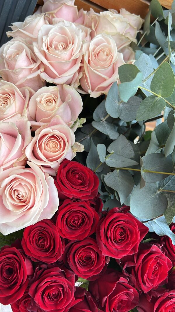 Mixed Luxury Blush and Classic Red Roses