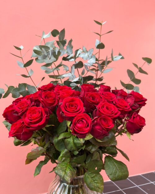 Classic Red Roses