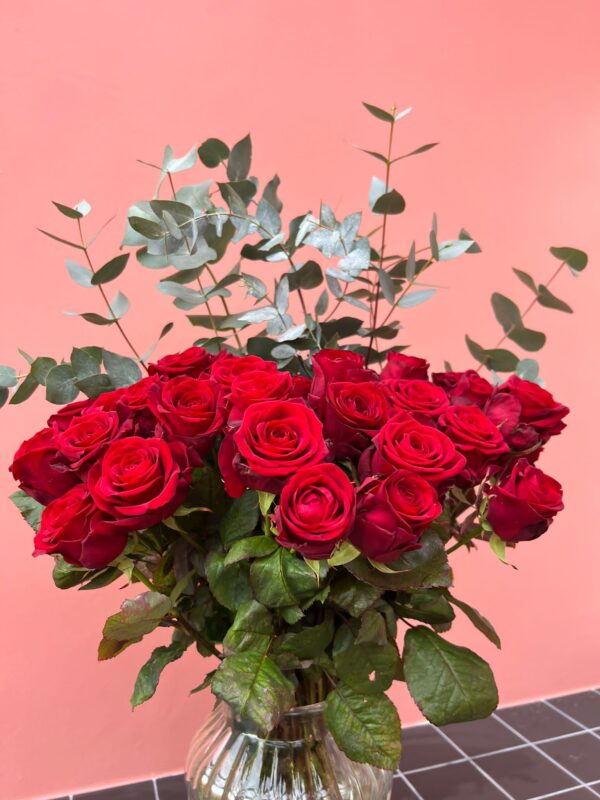 Classic Red Roses