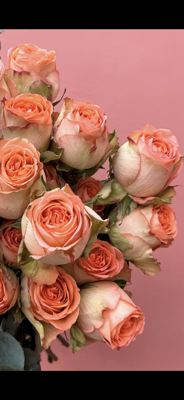 Weekly Luxury Rose Subscription - Image 5