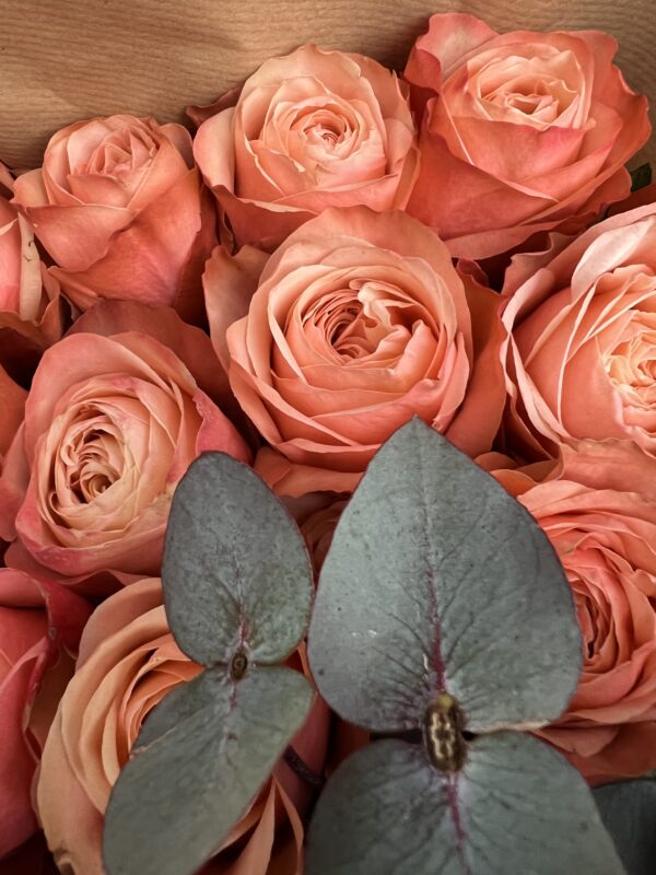 Weekly Luxury Rose Subscription - Image 4