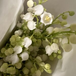 Lily of The Valley on the root