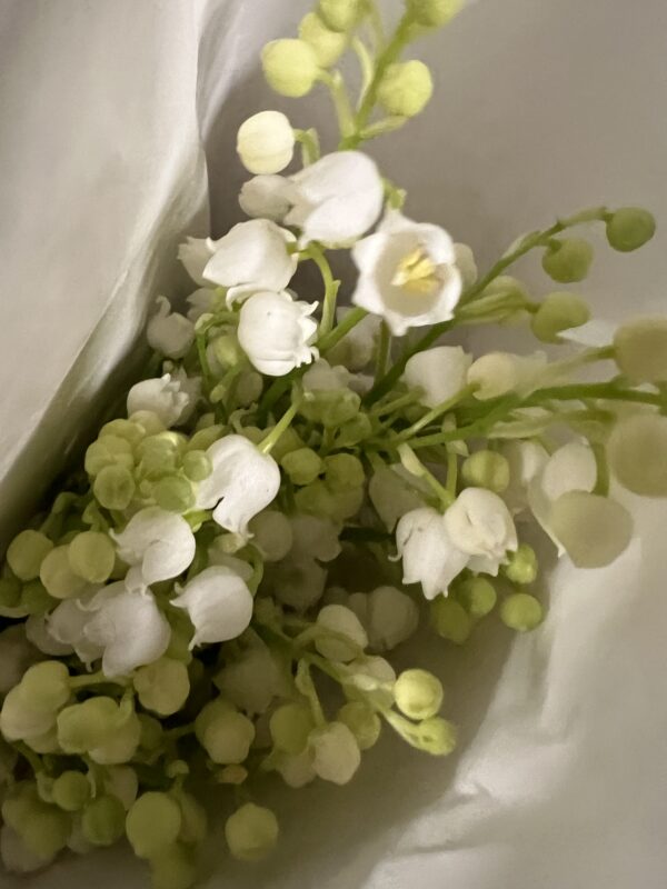 Lily of The Valley on the root