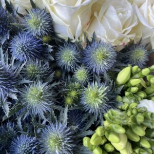 Blue Thistle, Classic White Rose and Classic White freesia bundle