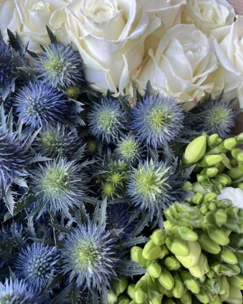 Blue Thistle, Classic White Rose and Classic White freesia bundle