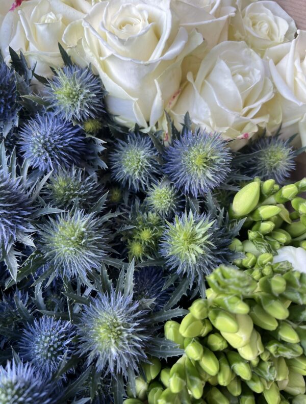 Blue Thistle, Classic White Rose and Classic White freesia bundle