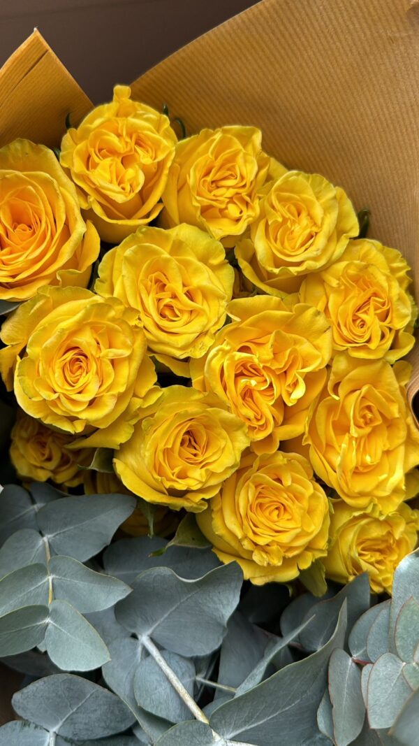 Luxury ‘High and Yellow’ Ecuadorean Roses