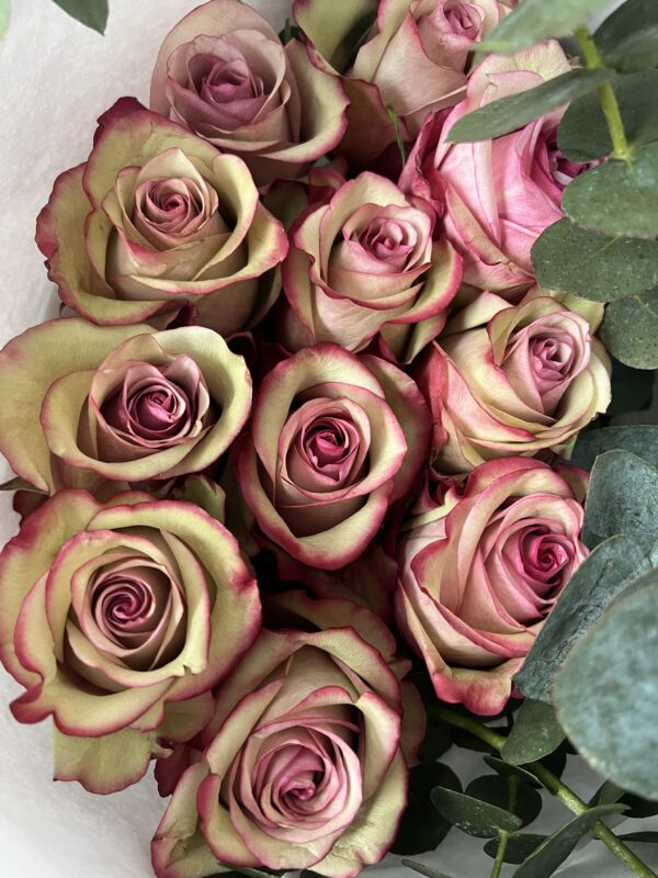 Luxury “Vintage” Ecuador Roses