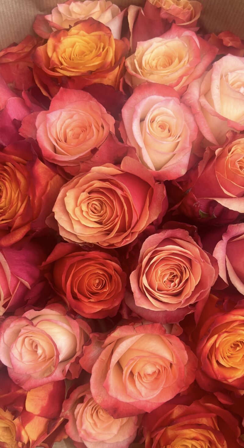 Mixed Autumnal Roses
